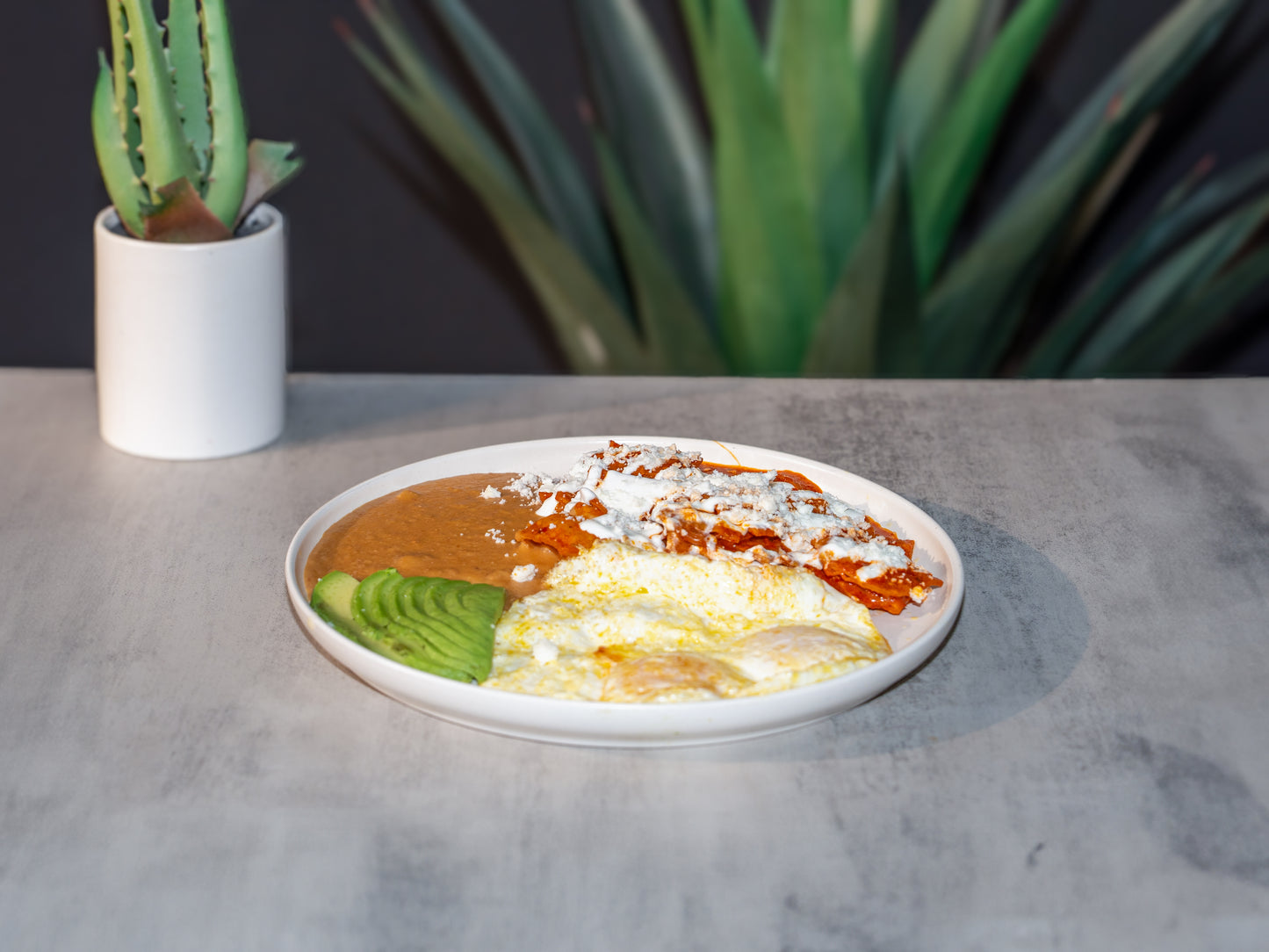 Chilaquiles in Red or Green sauce